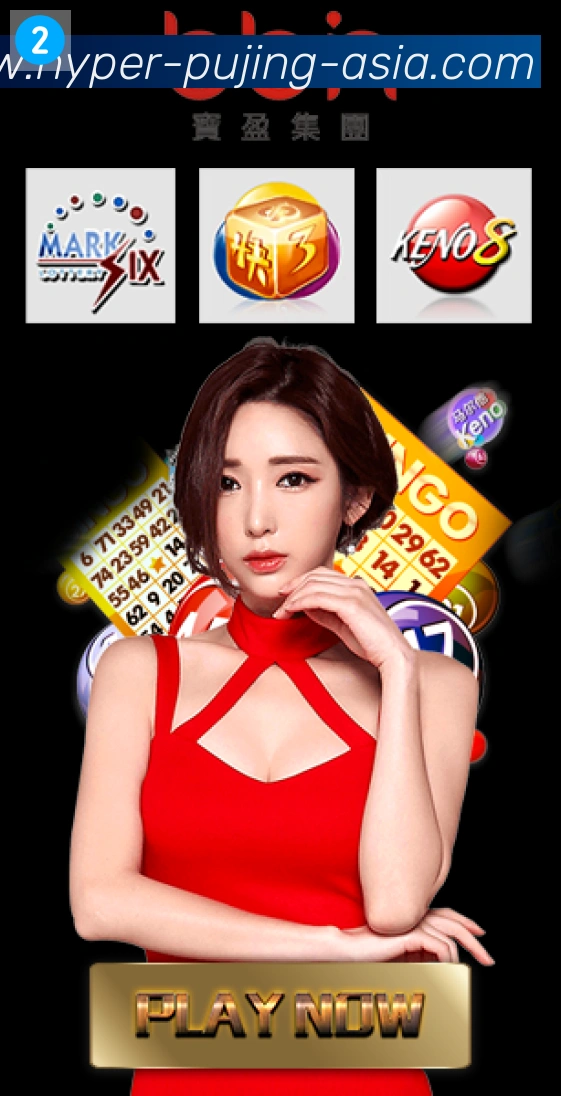 未来规划